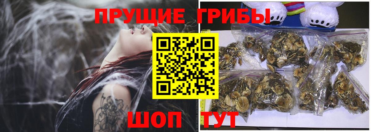 Ярцево  Галлюциногенные грибы мицелий  Вход с VPN 